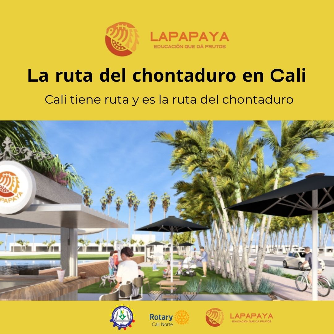 Revolución desde el norte de Cali: basura orgánica se convierte en futuro