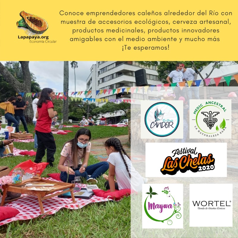 Monedas globales vs monedas locales pros y contras